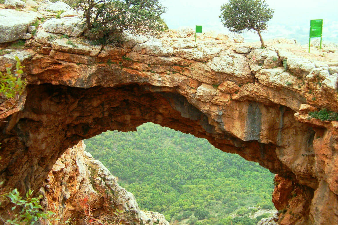 טיולים מאורגנים לאזור הצפון